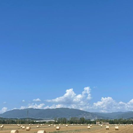 Lucca Holiday Rental- By The Walls N 395 外观 照片
