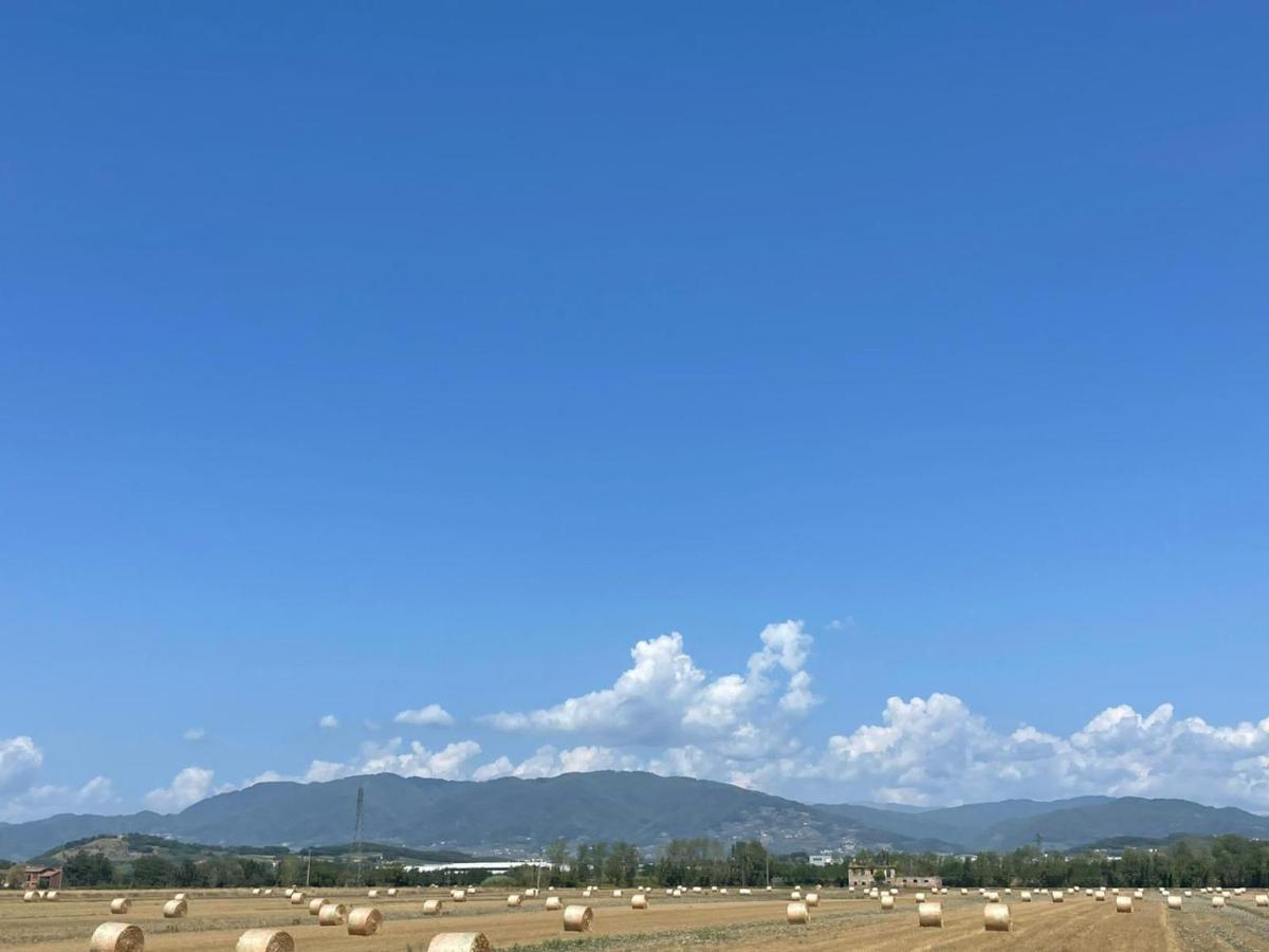 Lucca Holiday Rental- By The Walls N 395 外观 照片